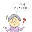 이글을 보시면 요양원 갈일이 없다는데요?? 이미지