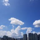 맑은하늘 이미지