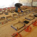 건강한 아리농장 이미지