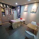 도도한나