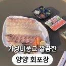 장가네면옥 | 양양전통시장 <양양회포장>맛좋고 가성비좋은 회포장집, 숙성회 원티어
