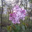 짠한 아침에...아들 휴가 후 복귀했을때 엄청 울었던 &#34;응답하라1988&#34; 재방송을 보며... 이미지