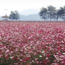 아치울삼거리~강북삼거리 이미지