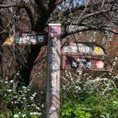 완산체육공원 화장실 이미지