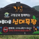 신대목장 이미지