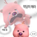 유엠해피 | Happy go lucky