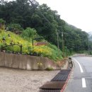 좌구산민박 이미지
