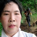 호범농장 Daum카페