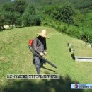 금강대학교(논산방면) 네이버블로그