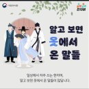 성원 이미지