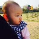 평화랜드 이미지