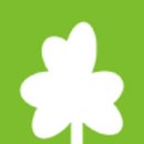 마드레펫 이미지