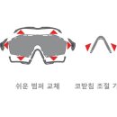 라인스포츠