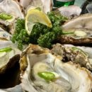 술파는집 이미지