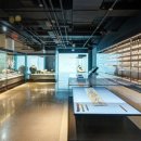 국립해양문화재연구소 태안해양유물전시관 이미지