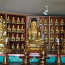달구벌대로 티스토리