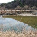 진안읍 1196 이미지