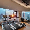 에이플 프리미엄 피티 이미지