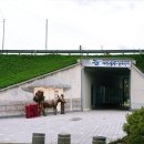 엽전조형물 이미지