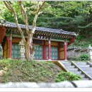 청주 상당사淸州 上黨祠 티스토리