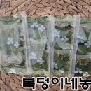 식균농장 네이버블로그