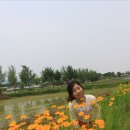 안동(부산) 이미지