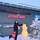 동화마을3단지(동화7리) | 핀란드 로바니에미 산타마을 여행후기와 꿀팁 및 투어추천