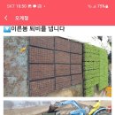오계절농원 네이버블로그