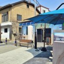 역사보고 배우고 이미지