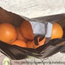 디코아트