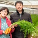 김주희농장 이미지