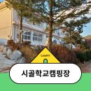 옛날 학교에서 캠핑을? [제천 시골학교캠핑장] 후기