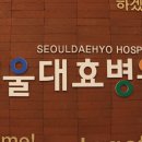 서울대효병원강남병원 네이버블로그