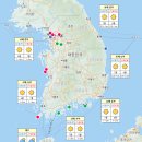 원더피싱 이미지