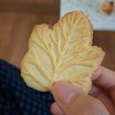 덕정초등학교 | 십월을 십월이라 부르지 못하고