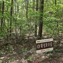 횡성 호수길 2구간 Daum카페