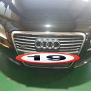 다나모터스 이미지