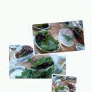 해숙농장 Daum카페