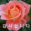 감곡 이미지