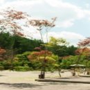 산촌캠핑장 이미지