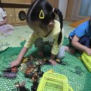 9월 3주 영어음악 🐜Autumn insect🐝 이미지