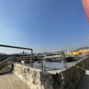 황금스파 이미지