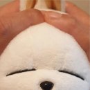 주식회사 뭉치 이미지