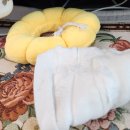 25시 죽곡동물병원 이미지