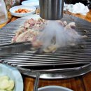 오리농원 - 김포시 중봉로33번길 4-9 | 오리농원