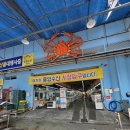 대구 매천수산시장 방문 후기 신선한 생선 회와 해산물과 가성비 천국