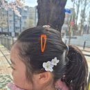 글쓰기 마법(초3~4) | 캐츠잉글리시 초3 영어 꽉 잡기!