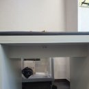 부평 연세의원 진찰실 진료베드 맞춤제작 설치 후기 | 진찰베드 하단 여닫이도어 수납장 보관장 전문...