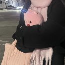 권가네 횟집 이미지