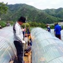 최근우농장 이미지